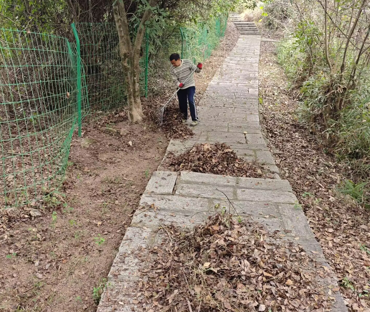 清理山林防火带.jpg