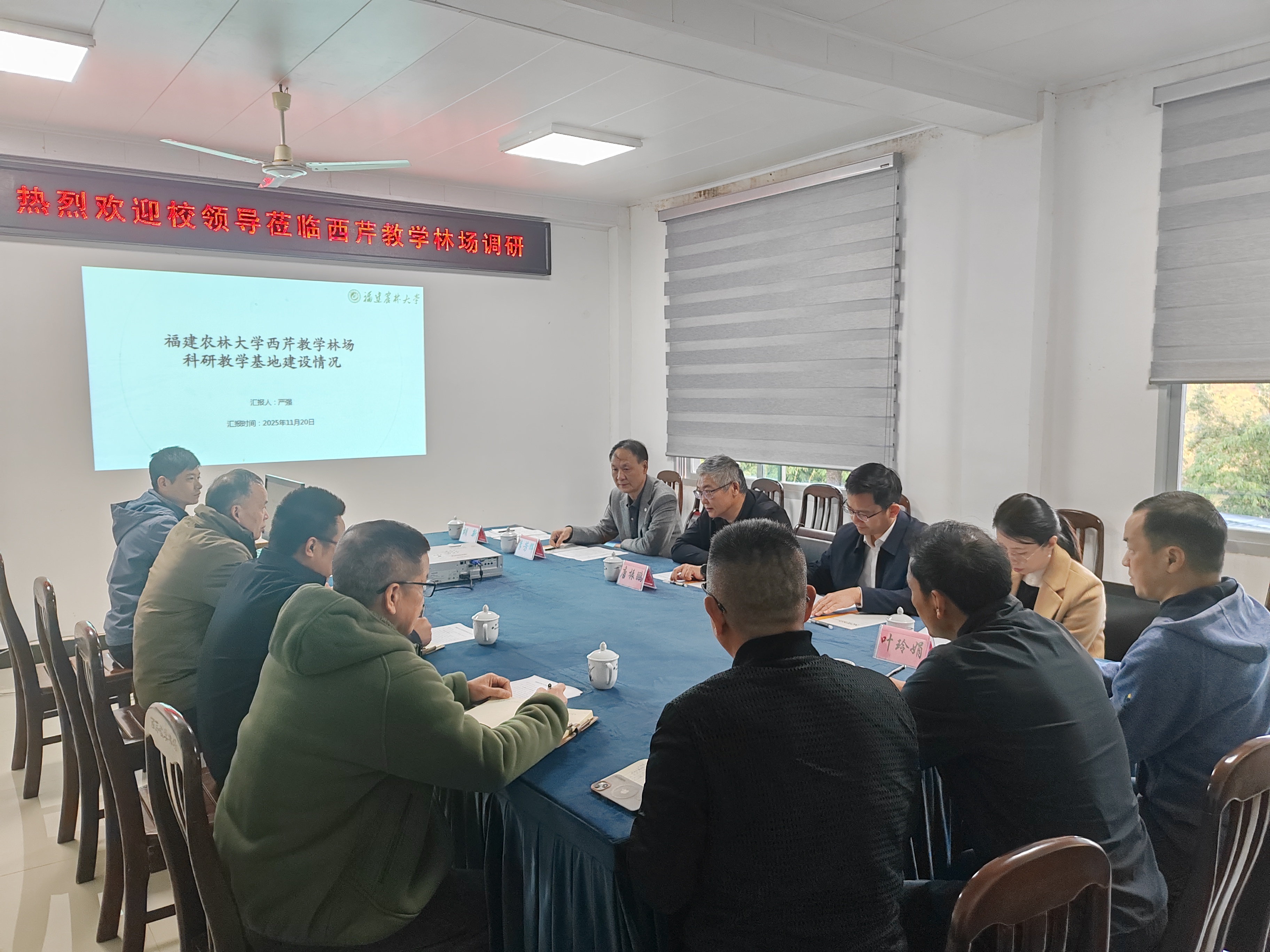 调研西芹教学林场.jpg